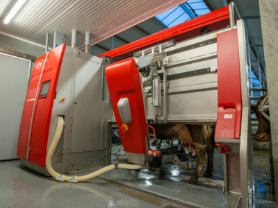 Lely Feeder