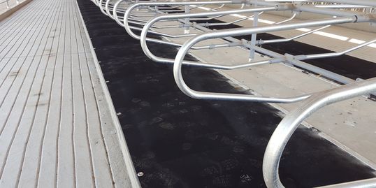 DCC Waterbeds